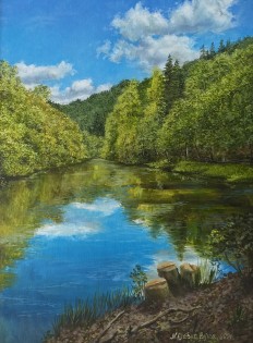 Olejomalba na plátně "Rybník u Bezovky" 29 × 39 cm