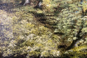 Obraz na zeď "Lesní jezírko" 30 × 24 cm