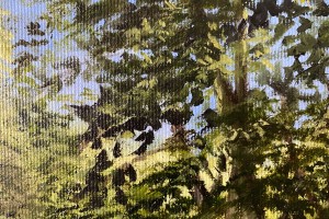 Obraz na zeď "Lesní jezírko" 30 × 24 cm