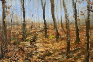 Obraz s paspartu "Podzimní les" 19,5 × 14,5 cm