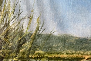 Obraz krajiny olejem "V létě u jezera" 39 × 29 cm