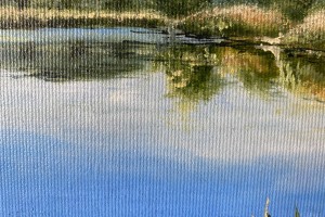 Obraz krajiny olejem "V létě u jezera" 39 × 29 cm