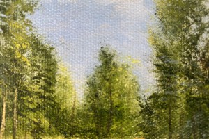 Obraz krajiny olejem "Borovicový les" 40 × 30 cm