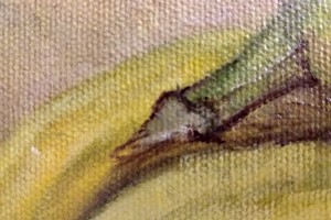 Obraz na plátně "Zátiší s banány" 24 × 18 cm