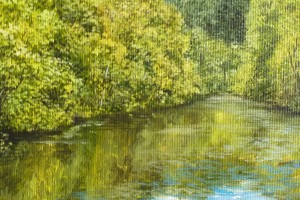 Olejomalba na plátně "Rybník u Bezovky" 29 × 39 cm